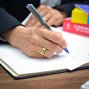 Pen
